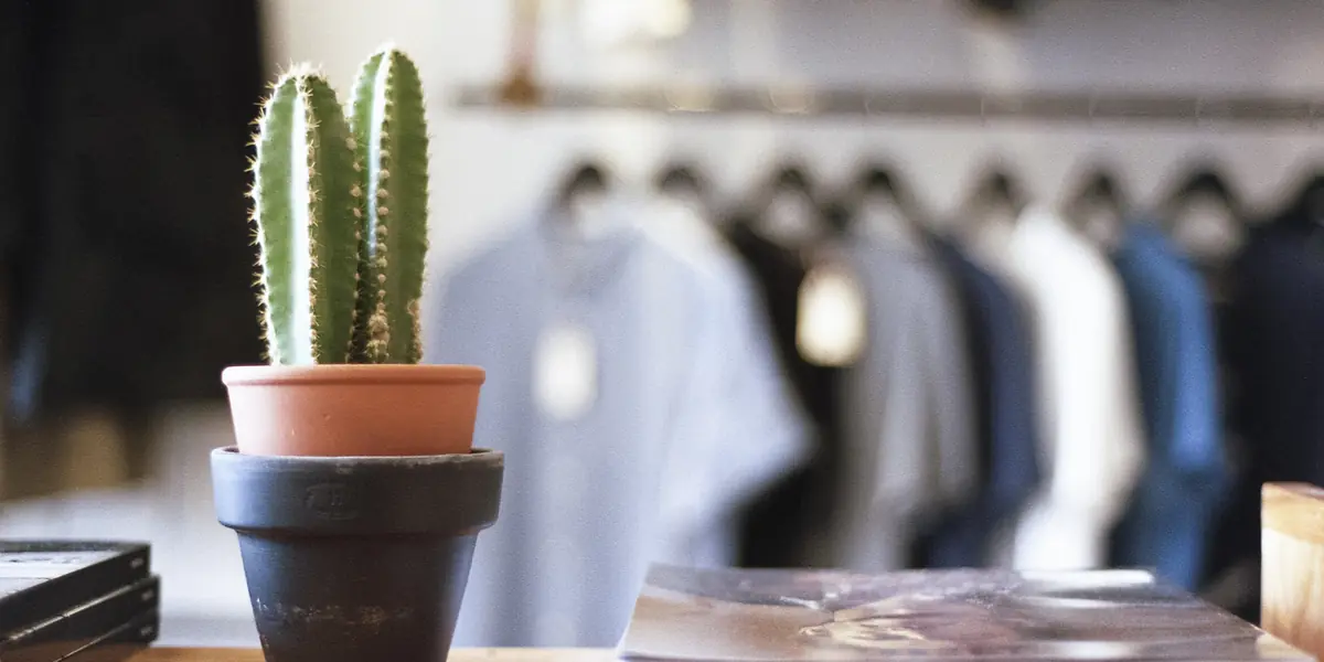Inside a clothing shop: a cactus in a terracotta pot and a stack of magazines on a wooden table, with a rail of pale t-shirts out of focus behind